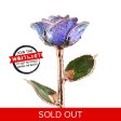 Periwinkle Rose Gold Dipped Rose Fashion