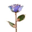 Periwinkle Rose Gold Dipped Rose Fashion