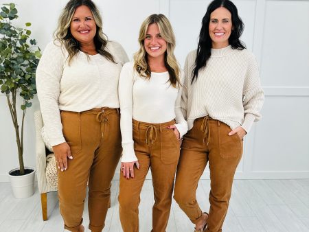 Judy Blue Comfortable in Camel Joggers in Reg Curvy Fashion