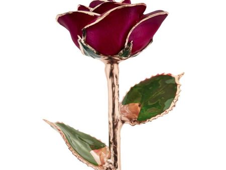 Red Wine Rose Gold Dipped Rose Online now