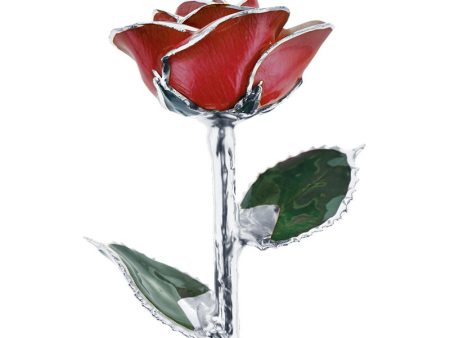 Platinum Valentine s Day Red Rose Online