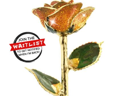 Just Peachy 24kt Gold Dipped Rose Online Hot Sale