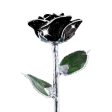 Black Diamond Platinum Rose Online Hot Sale