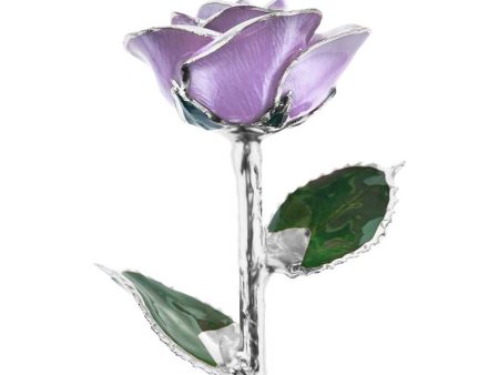 Sweet Love Platinum Rose Online Hot Sale