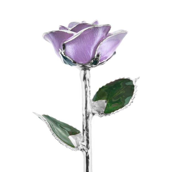 Sweet Love Platinum Rose Online Hot Sale