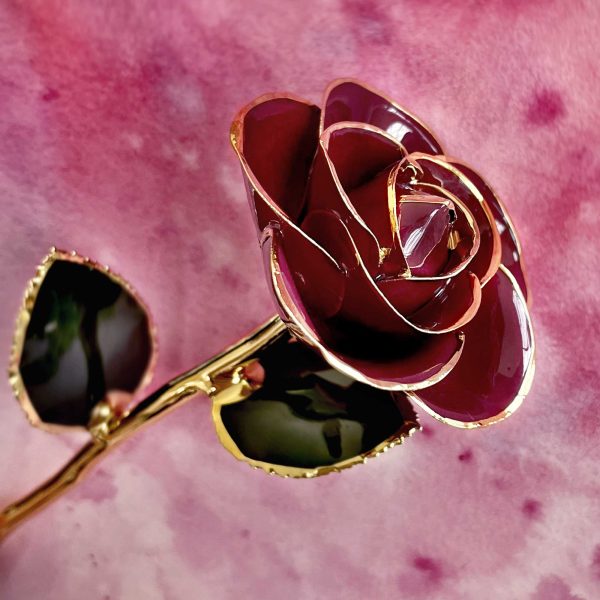 Red Wine 24kt Gold Dipped Rose Hot on Sale