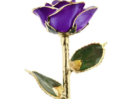 Purple Passion 24kt Gold Dipped Rose For Discount