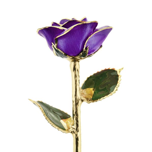 Purple Passion 24kt Gold Dipped Rose For Discount