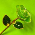 Neon Green 24kt Gold Dipped Rose Supply