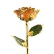 Just Peachy 24kt Gold Dipped Rose Online Hot Sale