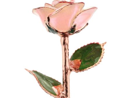 I Love You Rose Gold Dipped Rose Online Hot Sale