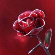 Platinum Valentine s Day Red Rose Online