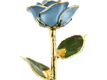 Baby Blue 24kt Gold Dipped Rose Fashion