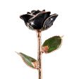 Black Diamond Rose Gold Dipped Rose Online