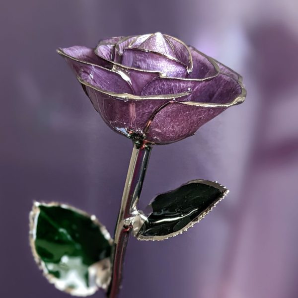 Sweet Love Platinum Rose Online Hot Sale