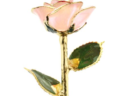 I Love You 24kt Gold Dipped Rose Discount