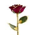 Red Wine 24kt Gold Dipped Rose Hot on Sale