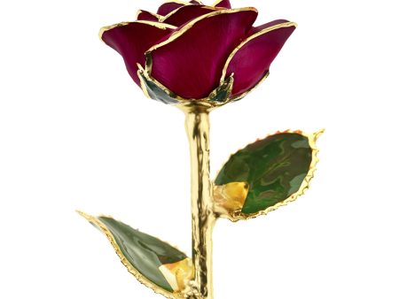 Red Wine 24kt Gold Dipped Rose Hot on Sale